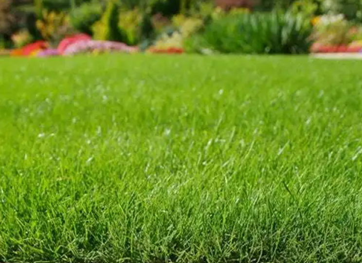 Grass Sciences and Management